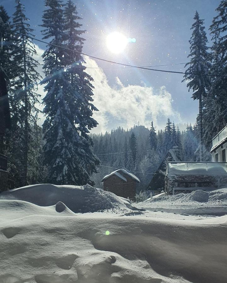 Jahorina Villa In المظهر الخارجي الصورة